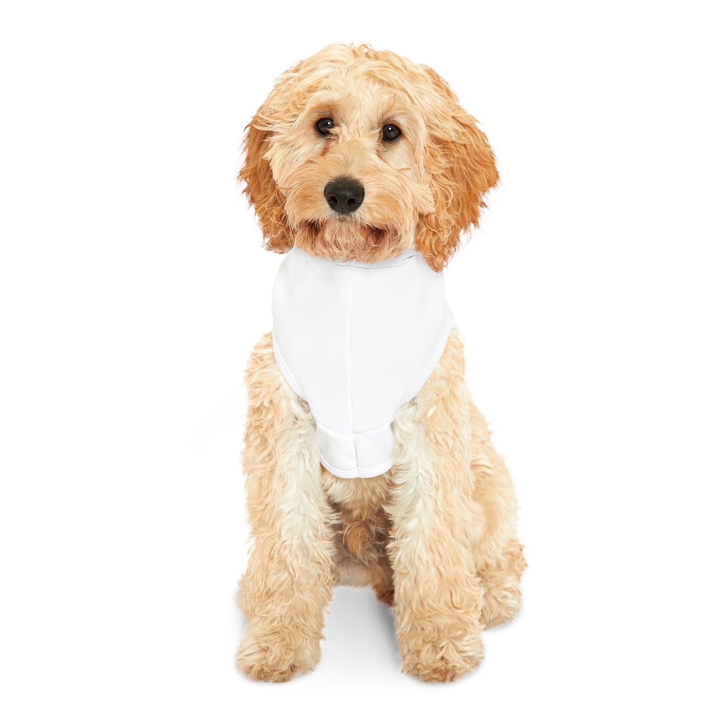 "Dogs Before Dudes" Pet Hoodie